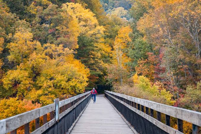 Can I Enjoy Fall Activities in Pittsburgh With a Portable Oxygen Concentrator?